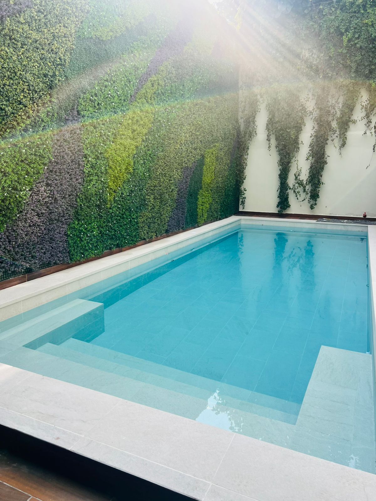 Construcción de alberca moderna por Pool Gena